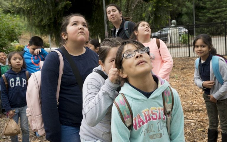 Eco-Ed kids find beauty (and tadpoles) at Oakland creek