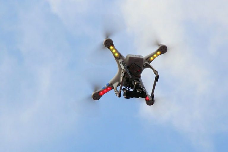 Drones and birds — a growing conflict?