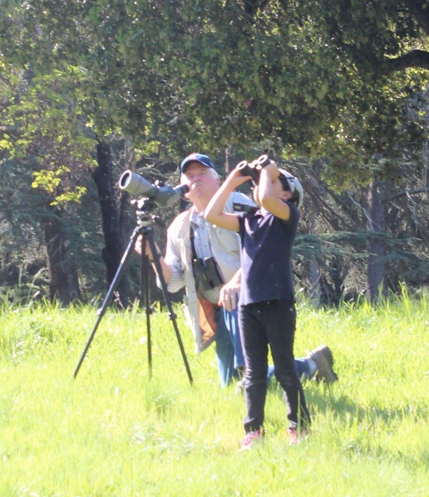 A GGBA Eco-Ed volunteer helps a student sight birds / Photo by Pipi Ray Diamond