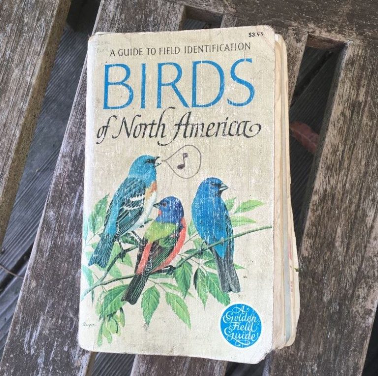 A field guide to my first field guide - Golden Gate Bird Alliance