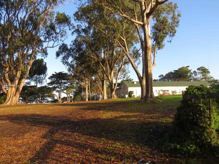 Fort Mason: Birding Hotspot