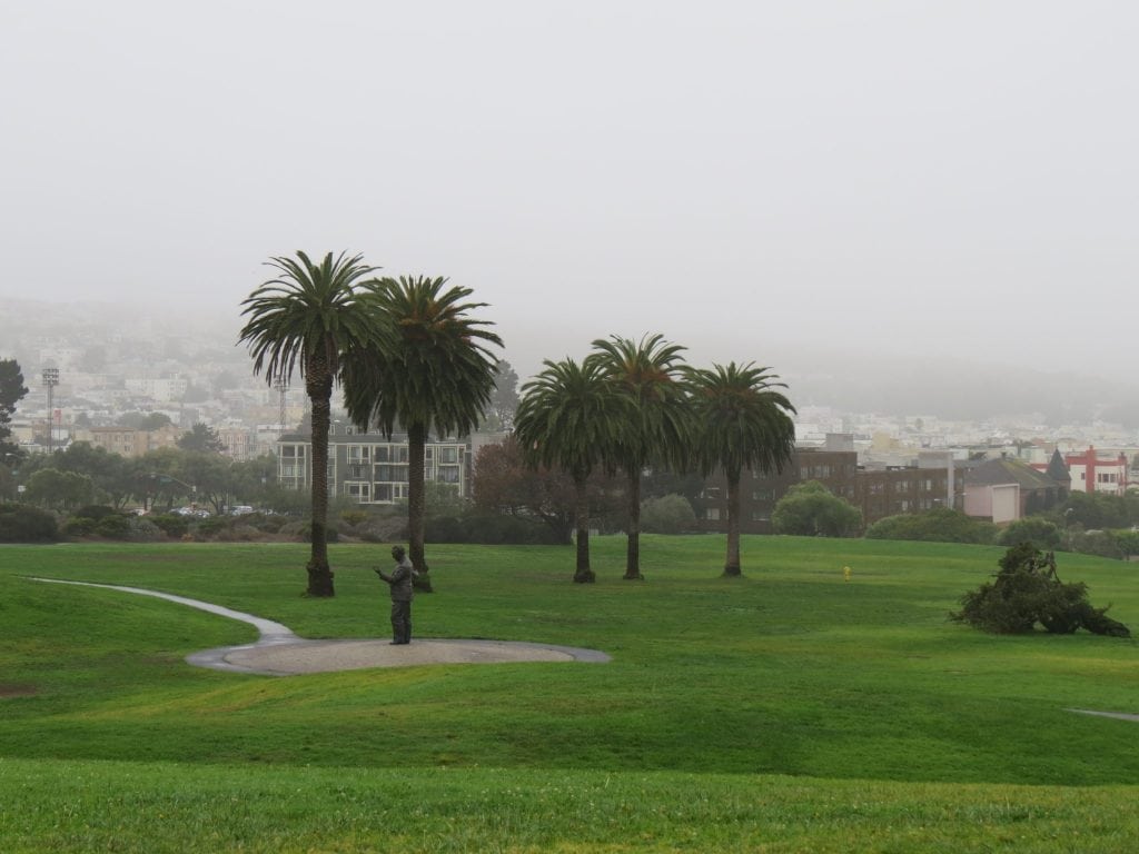 Fort Mason's Great Meadow in the fog / Photo by David Assmann