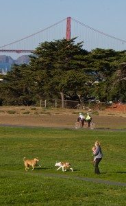 GGNRA needs to accommodate many users -- families, cyclists, dog owners and nature lovers, as well as wildlife.  / Photo by Allen Hirsch