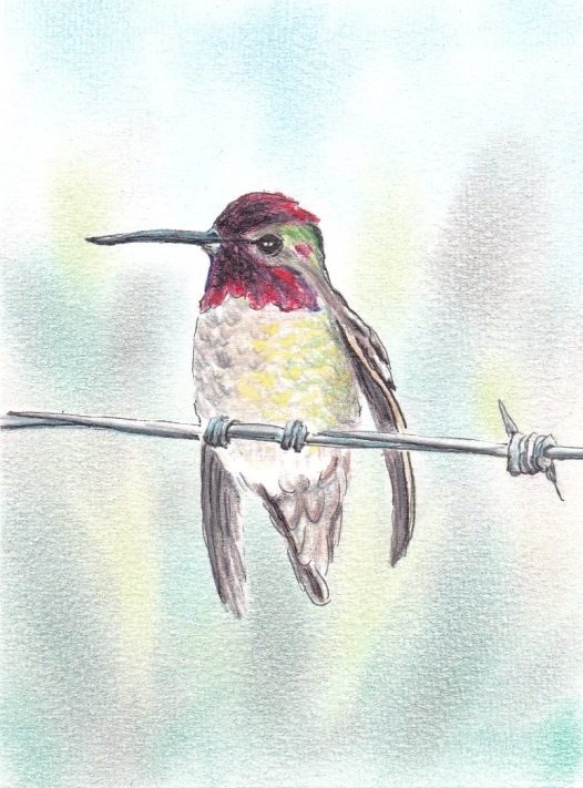 Imprisoned bird artist, now free as a bird