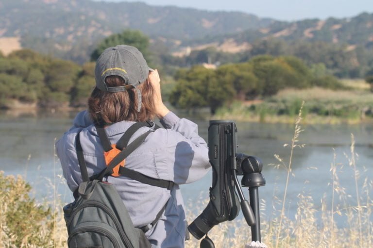 How to plan a successful Big Year of birding