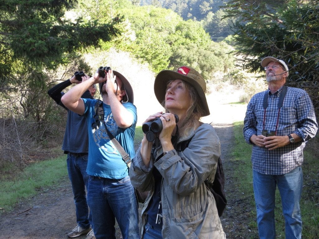 Master Birders near Bolinas / Photo by Ilana DeBare