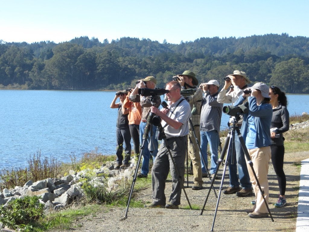 Master Birders at Bolinas Lagoon / Photo by Ilana DeBare