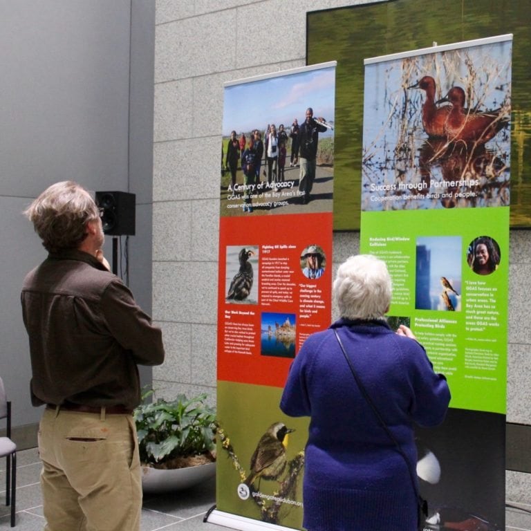 GGBA launches our Centennial exhibit