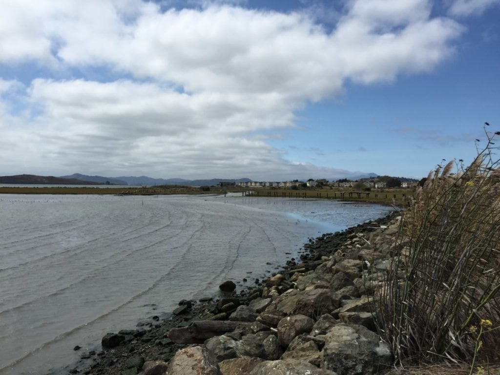 Mudflat near Point Isabel / Photo by Jee Beebe