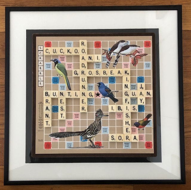 Daryl Goldman: Bird Artist