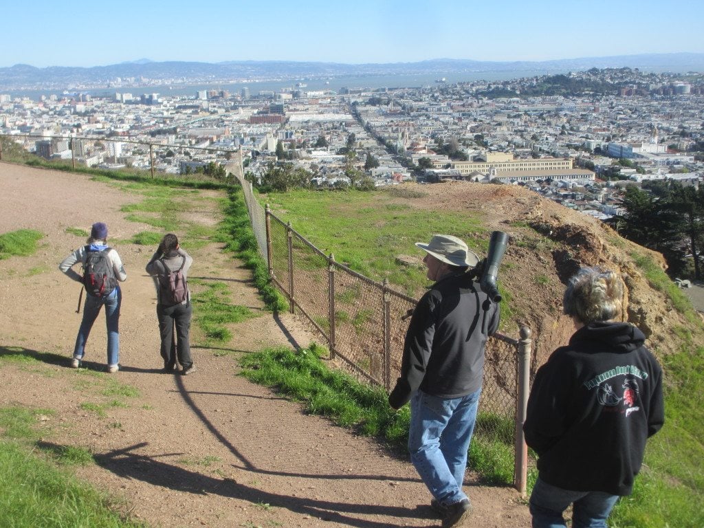 SF's hills offer beautiful views  while birding / Photo by Marissa Ortega-Welch