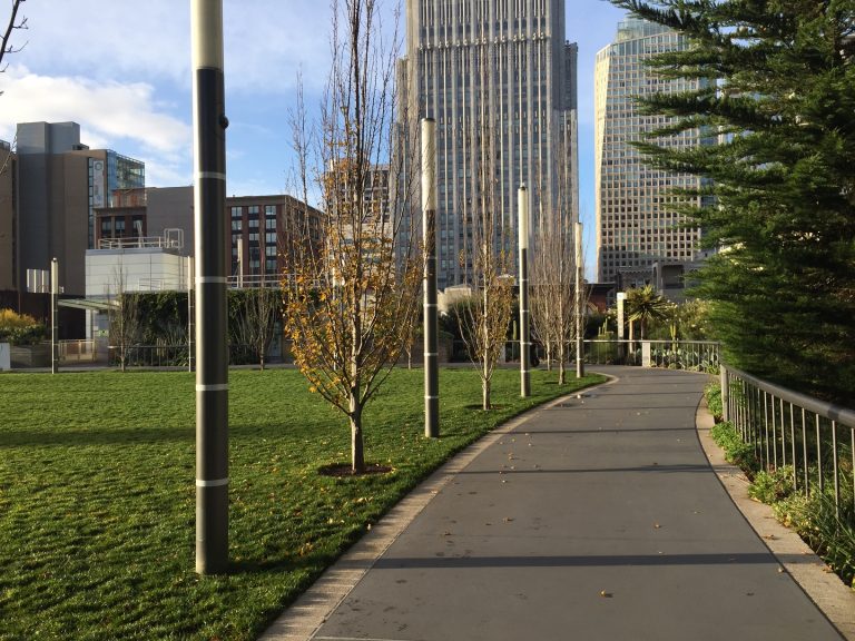Birding in Salesforce Park