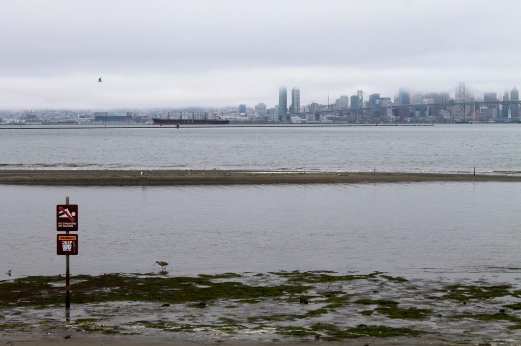 Rising tide at Middle Harbor Shoreline Park, looking west towards San Francisco / Photo by Ilana DeBare