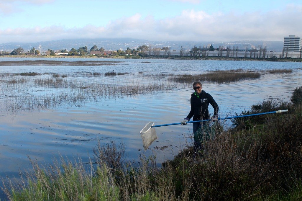 Removing trash from the shoreline on MLK Day / Photo by Ilana DeBare