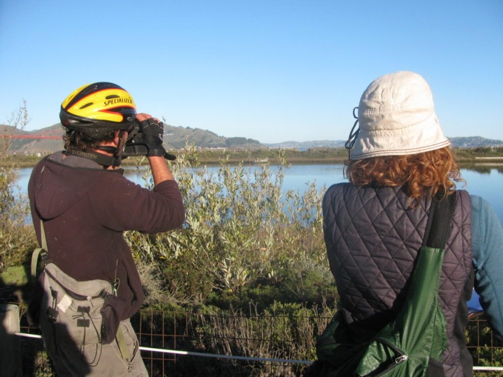 CBC at CRissy Lagoon