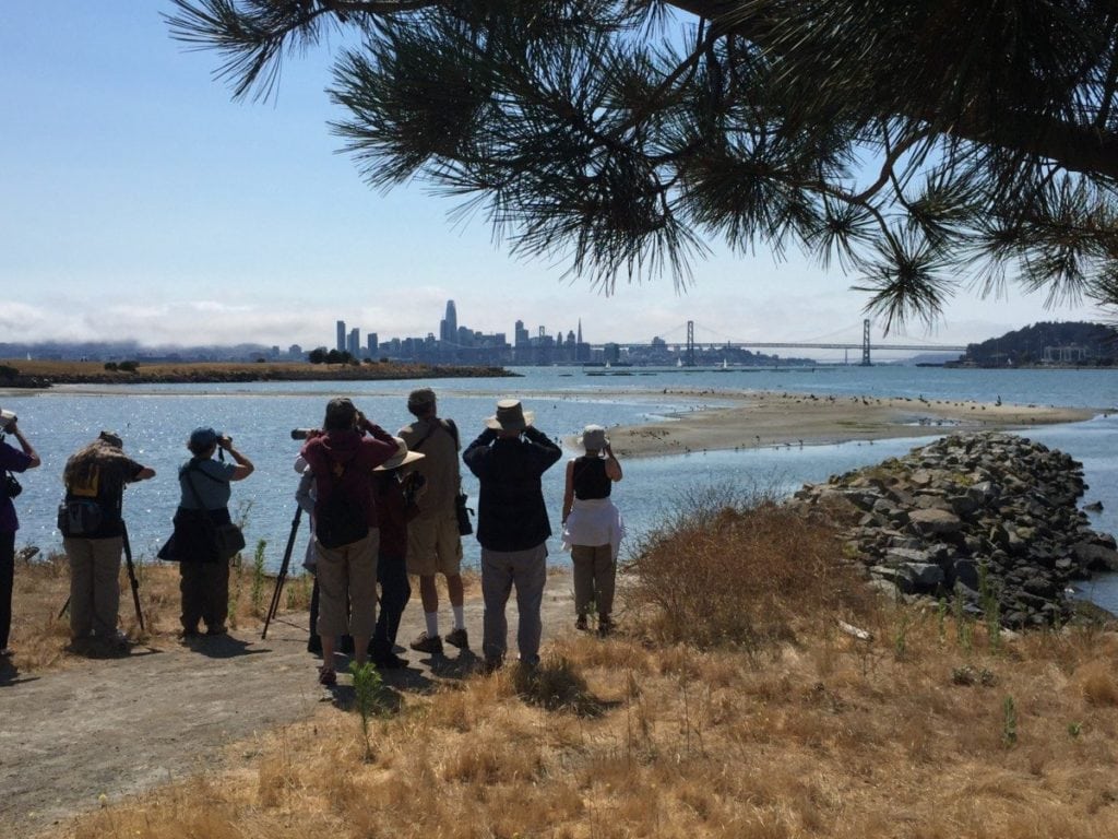 GGAS field trip to Middle Harbor Shoreline Park / Photo by Ilana DeBare