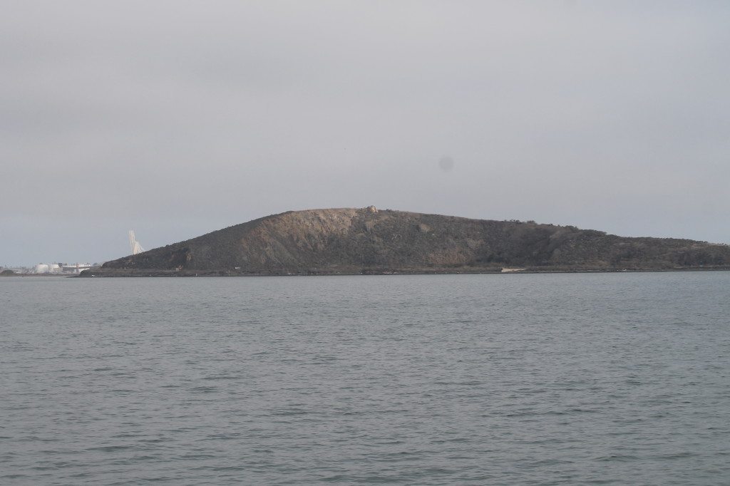 Brooks Island viewed from the water / Photo by Ilana DeBare
