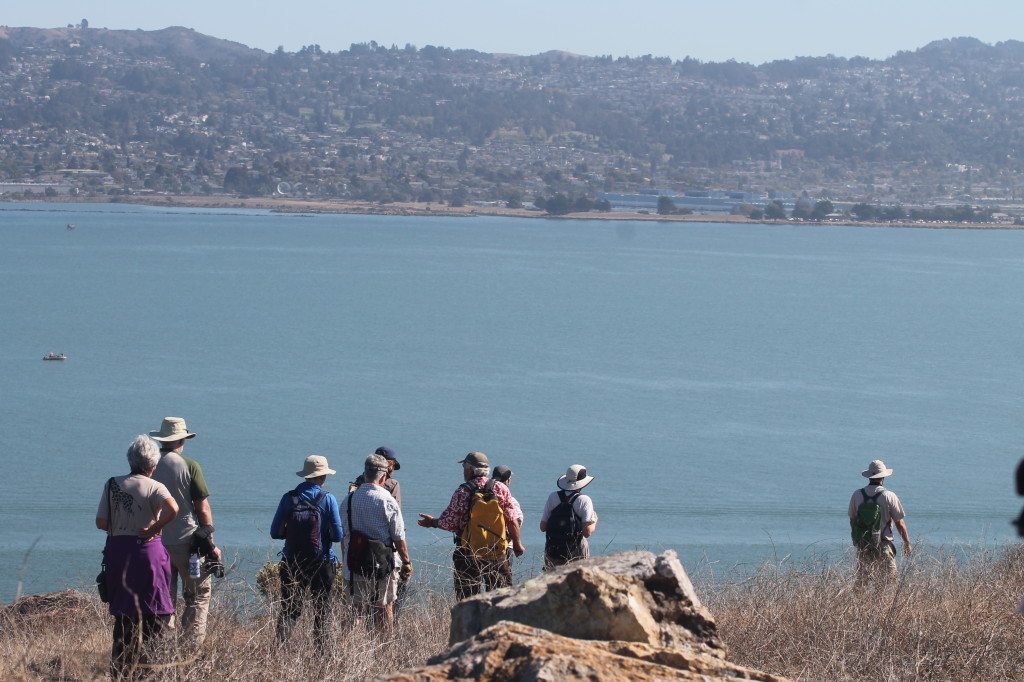 Hiking around Brooks Island, with the East Bay hills in the background / Photo by Ilana DeBare