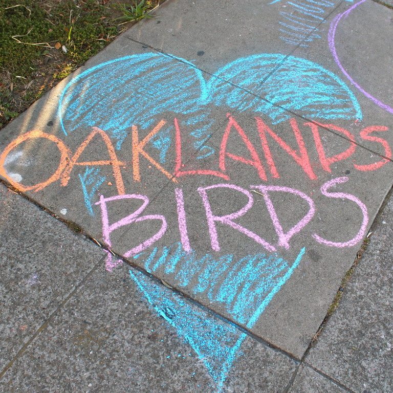 Herons above, artists below
