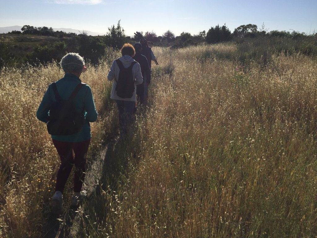 The "101 Birds in a Day in East Bay Parks" Birdathon trip / Photo by Jon Sieker