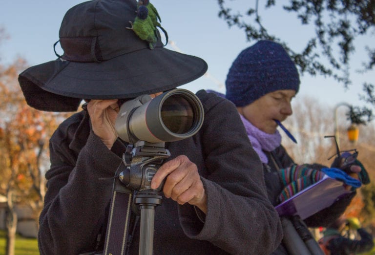 Welcome to the 2015 Christmas Bird Count!
