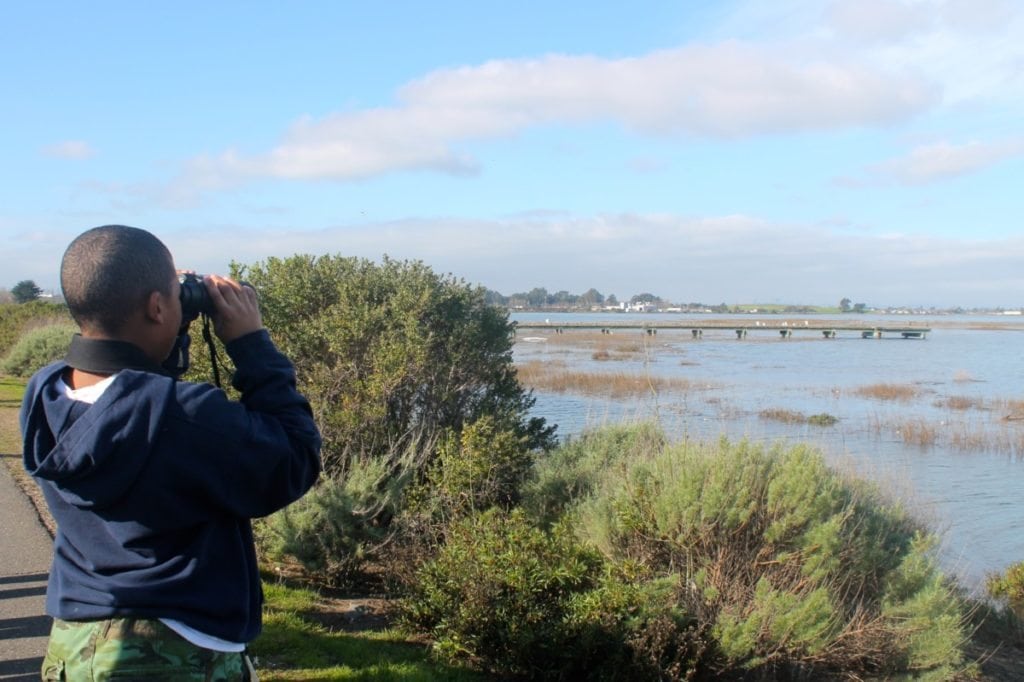 Young birder at MLK Shoreline during a joint Golden Gate Bird Alliance / Outdoor Afro event / Photo by Ilana DeBare