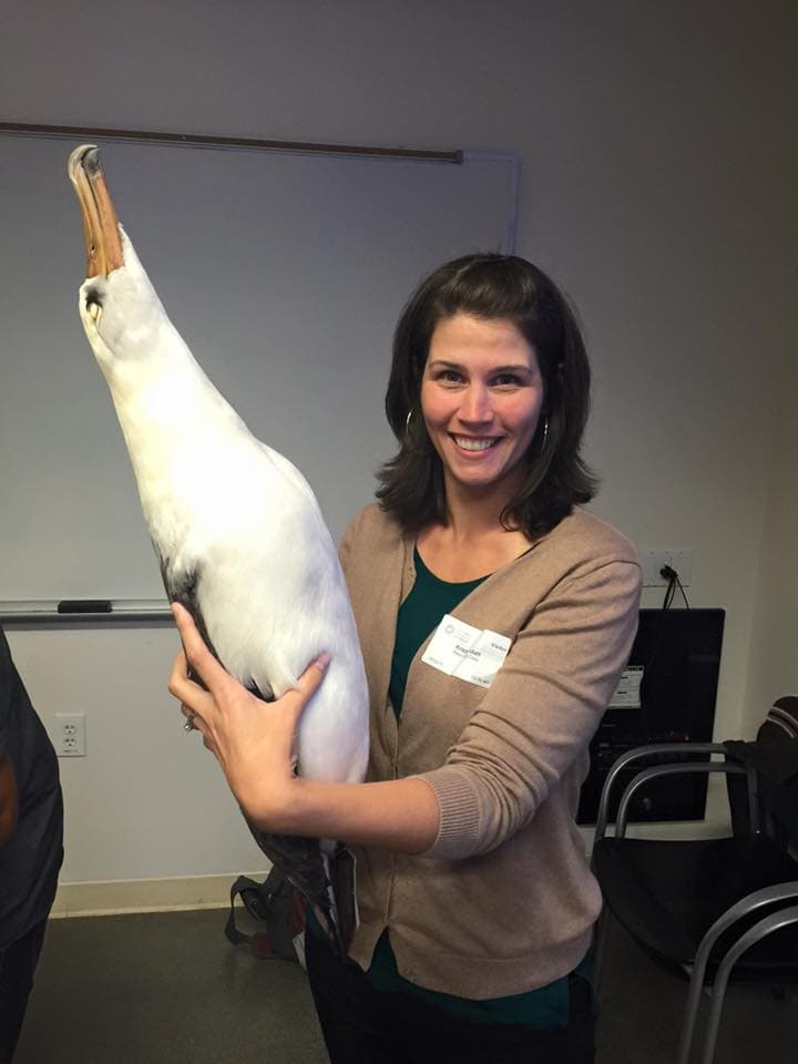 Krista Jordan and a Laysan Albatross specimen in the Master Birder class at California Academy of Sciences