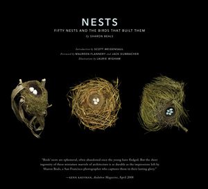 nests_beals