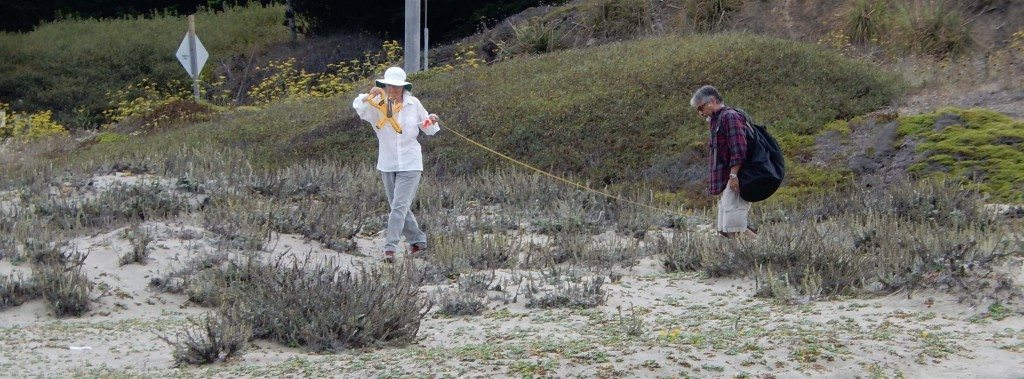 Margaret Goodale and Dyer Crouch lay out the boundaries of the protected area on Pacifica State Beach / Photo by Sue Morgan
