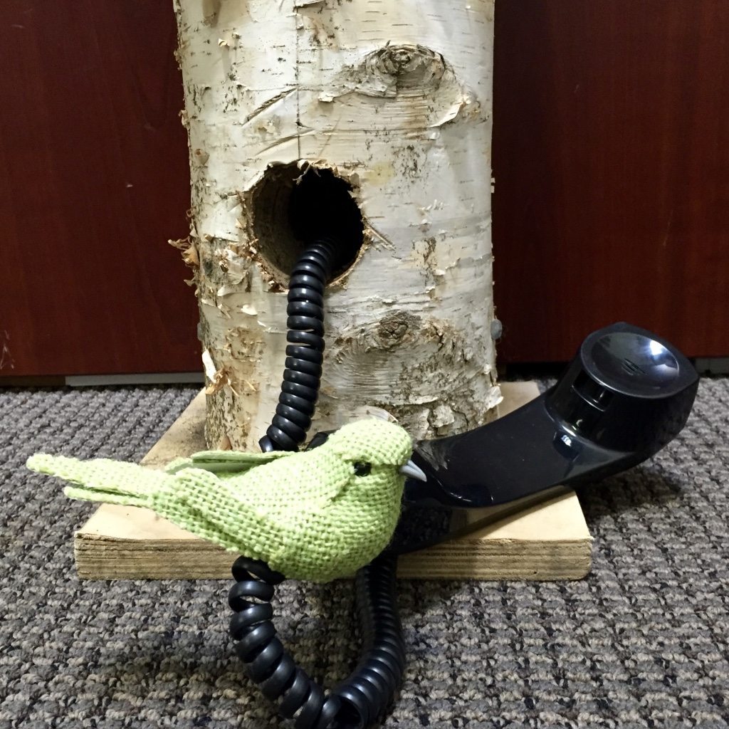Birds can't phone bank for Measure AA, but we can!