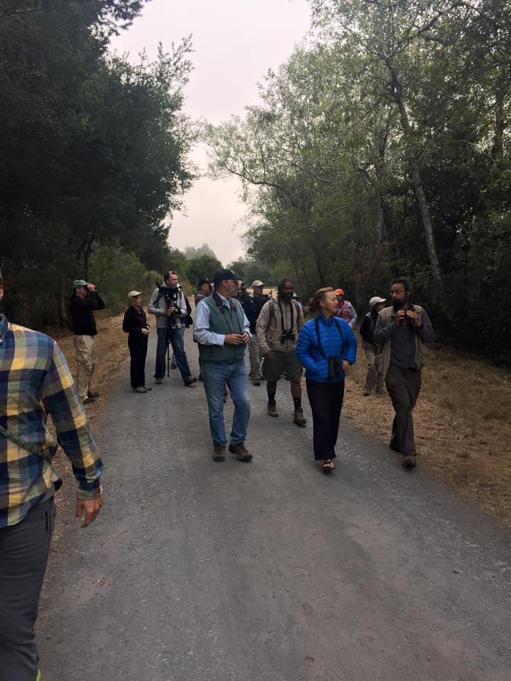 Becoming a Master Birder