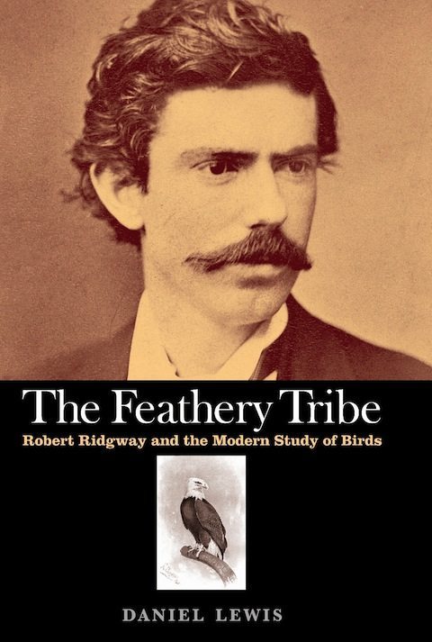 The Feathery Tribe – Thursday Nov. 15