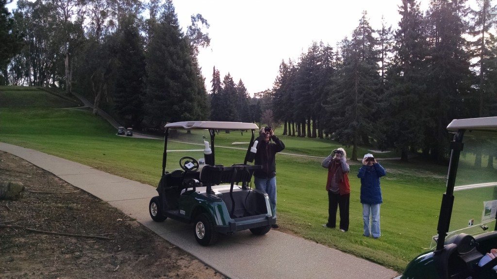 Birding by golf cart at Sequoyah Country Club / Photo by Lori Lewis