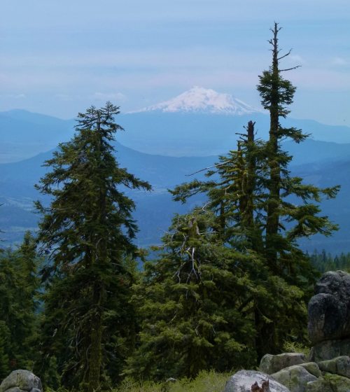 View of Mount Shasta by Harry Fuller