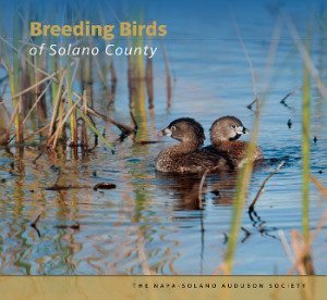 Breeding Birds of Solano County cover