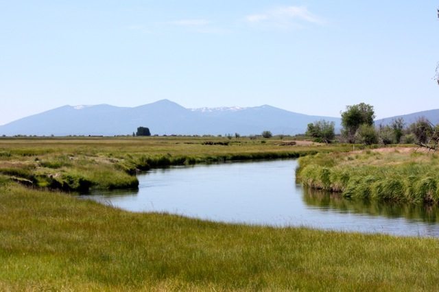 Birding Oregon with GGBA