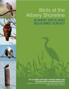 Albany Shoreline bird report