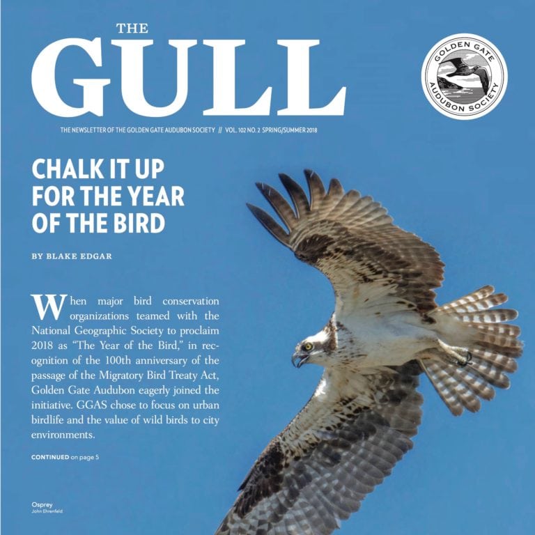 Spring/Summer 2018 Gull is now available