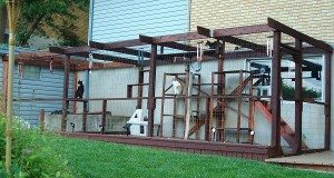 Elaborate Utah catio featured on CatioShowcase.com