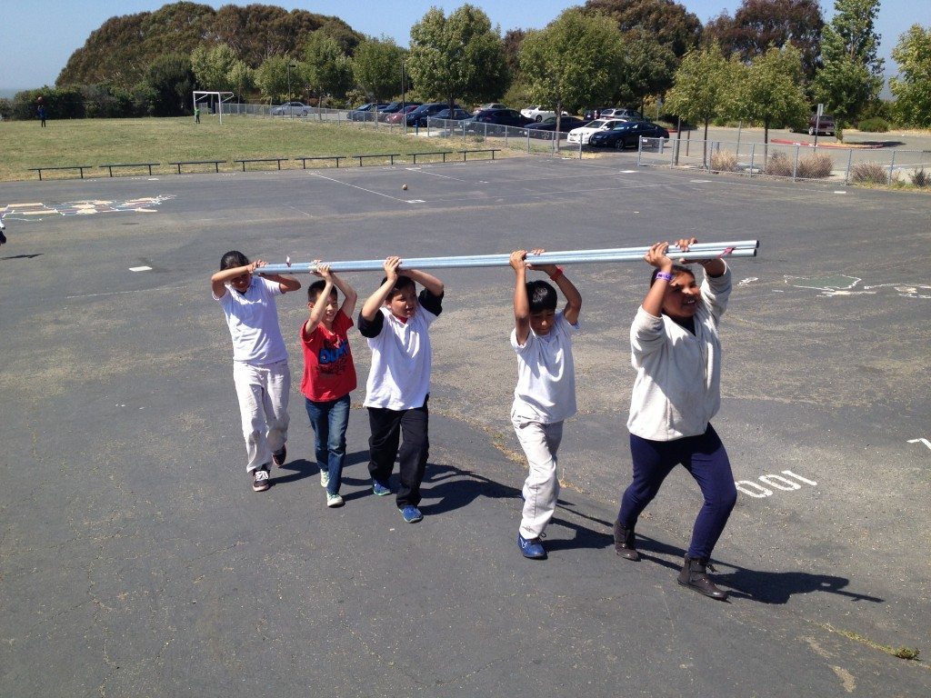 Carrying pole for a nest box at Montalvin Elementary School in Richmond / Photo by Anthony DeCicco