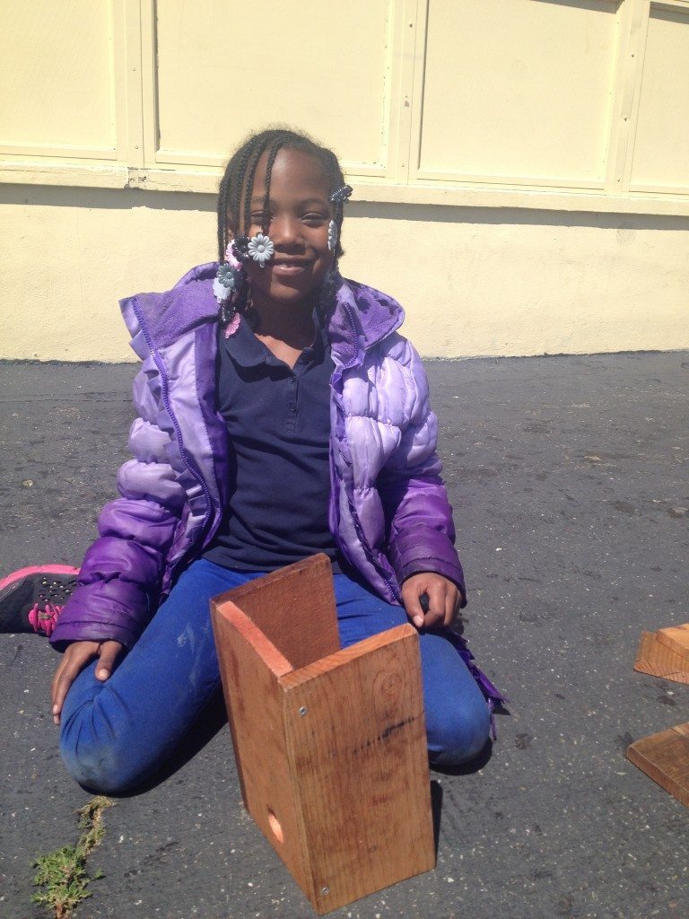 A fallen sparrow spurs a bird-friendly schoolyard