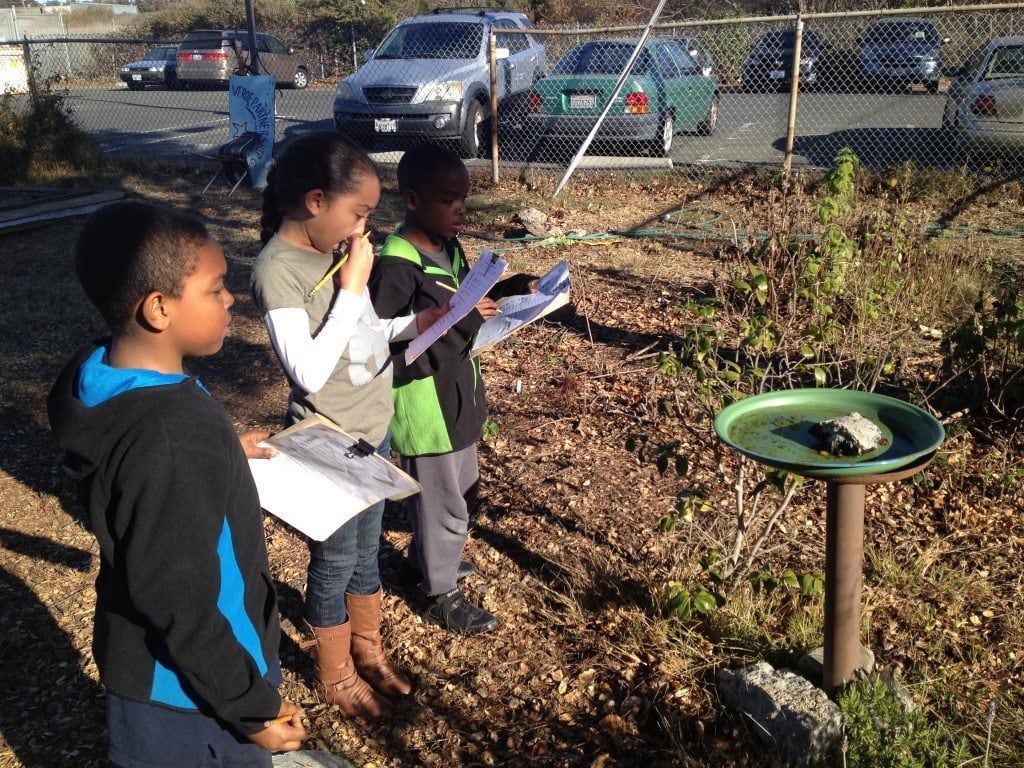 Doing a schoolyard habitat survey at Verde Elementary School / Photo by Anthony DeCicco