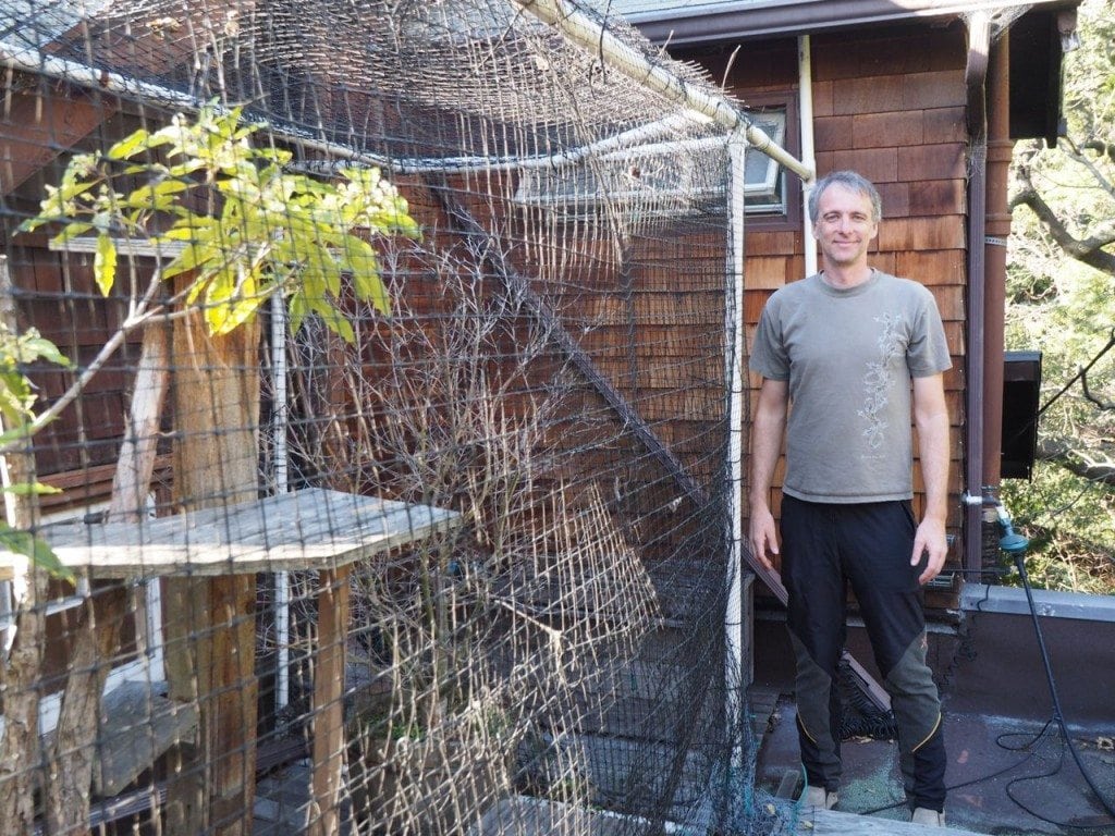 Phil Price and the original cage area of his catio complex / Photo by Ilana DeBare