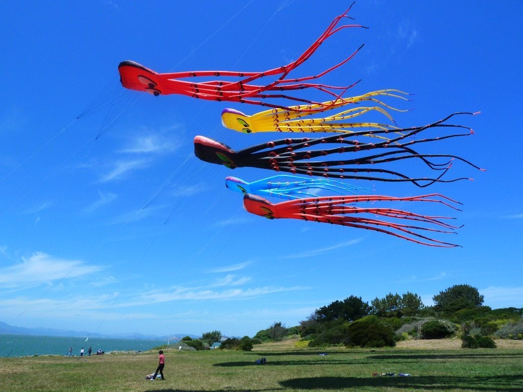 Kite flying is popular at Cesar Chavez Park. Note the ridge with native vegetation in back. Photo by Martin Nicolaus.