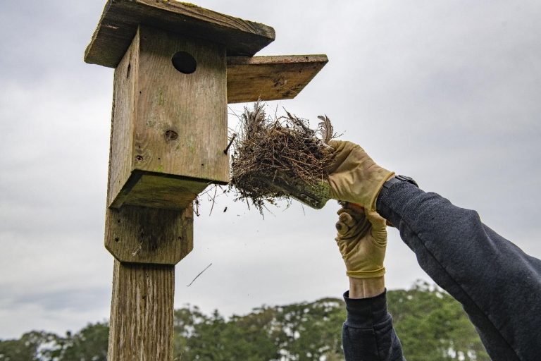 Community Science in an Urban Park