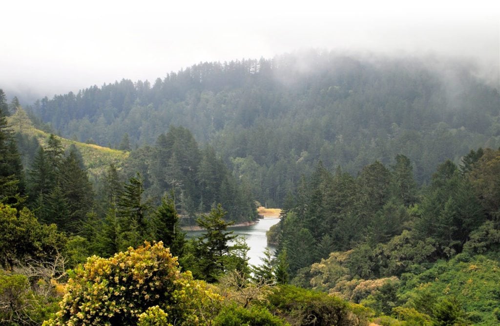 Pilarcitos Reservoir in the Peninsula Watershed / Photo by Emma Leonard, Bay Nature