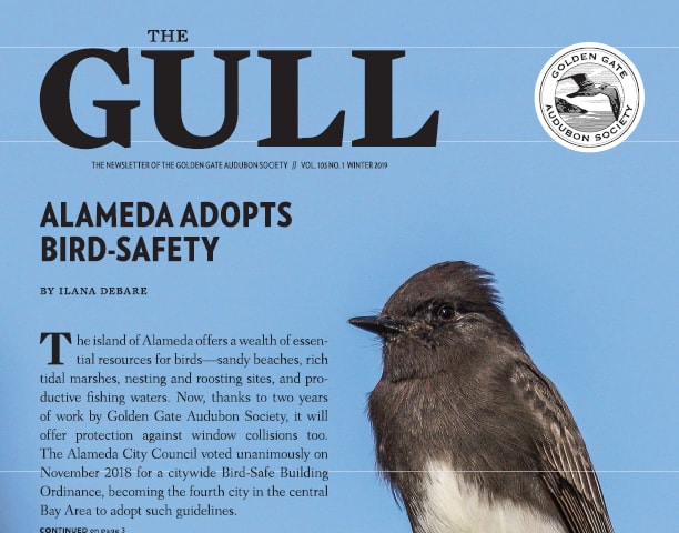 Winter 2019 Gull is available
